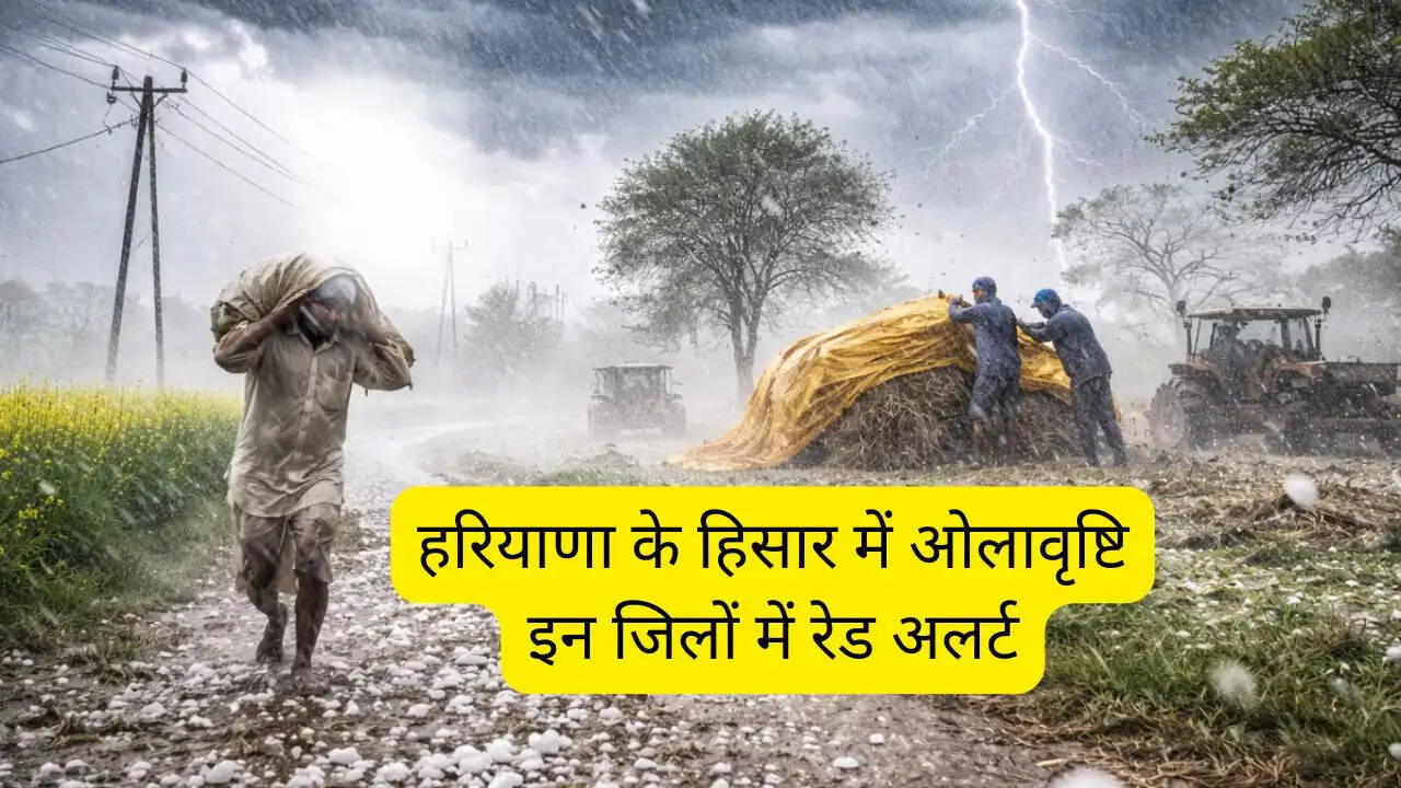 हरियाणा के हिसार में ओलावृष्टि, इन जिलों में रेड अलर्ट; इतने दिन खराब रहेगा मौसम&nbsp;