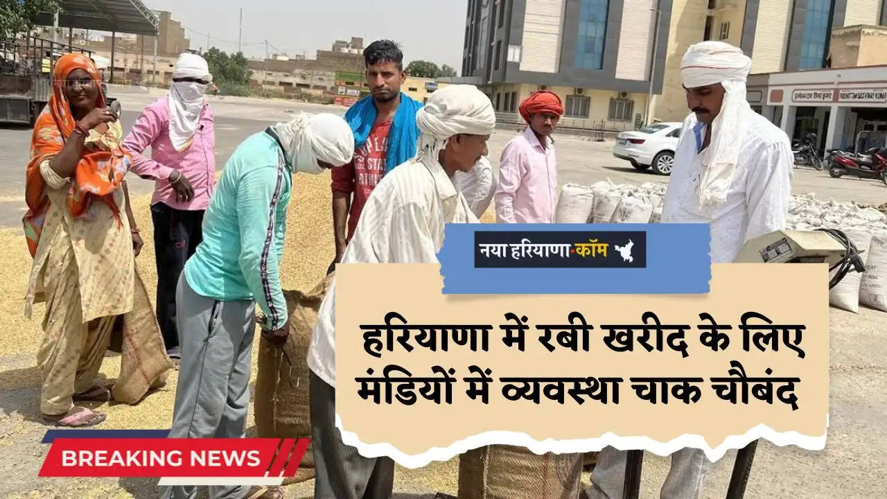 Haryana: हरियाणा में रबी खरीद के लिए मंडियों में व्यवस्था चाक चौबंद, बिना ट्रैक्टर नंबर प्लेट नहीं बिकेगी फसल&nbsp;