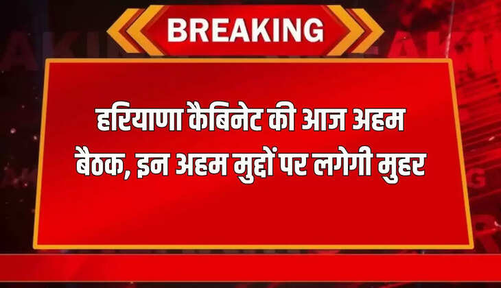 haryana cabinet meeting