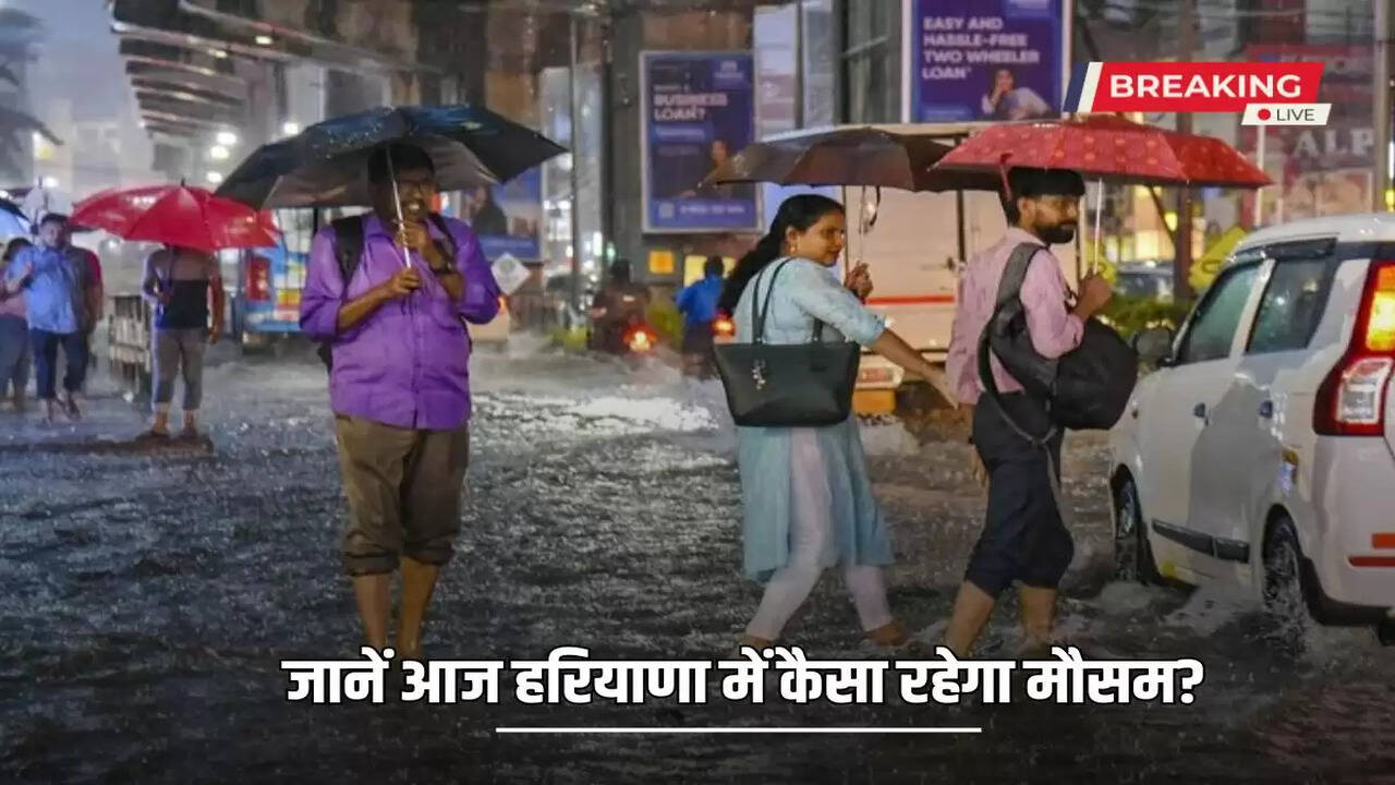  Know what will be the weather in Haryana today?