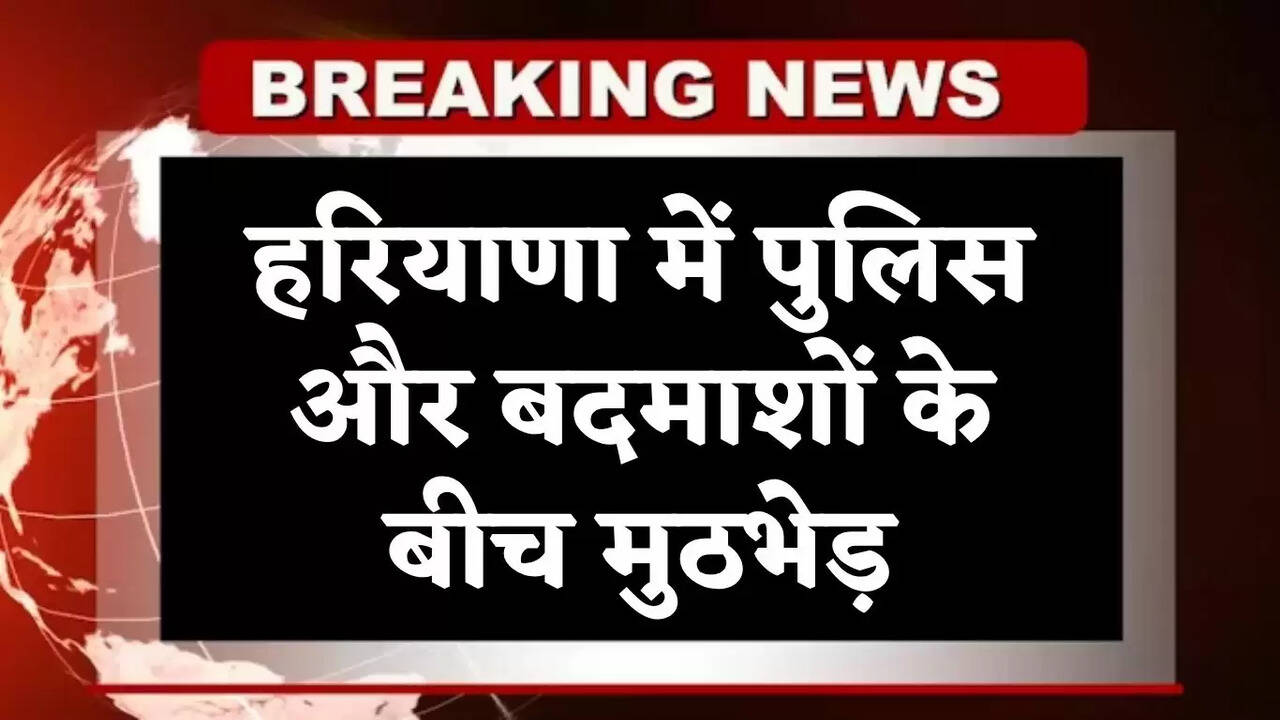 haryana news