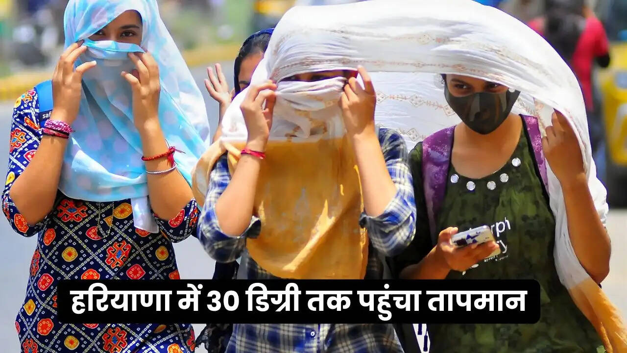 haryana weather update