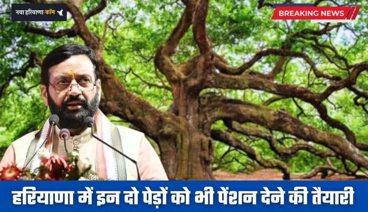 Haryana: हरियाणा में इन दो पेड़ों को भी पेंशन देने की तैयारी, सैनी सरकार ने लिया बड़ा फैसला