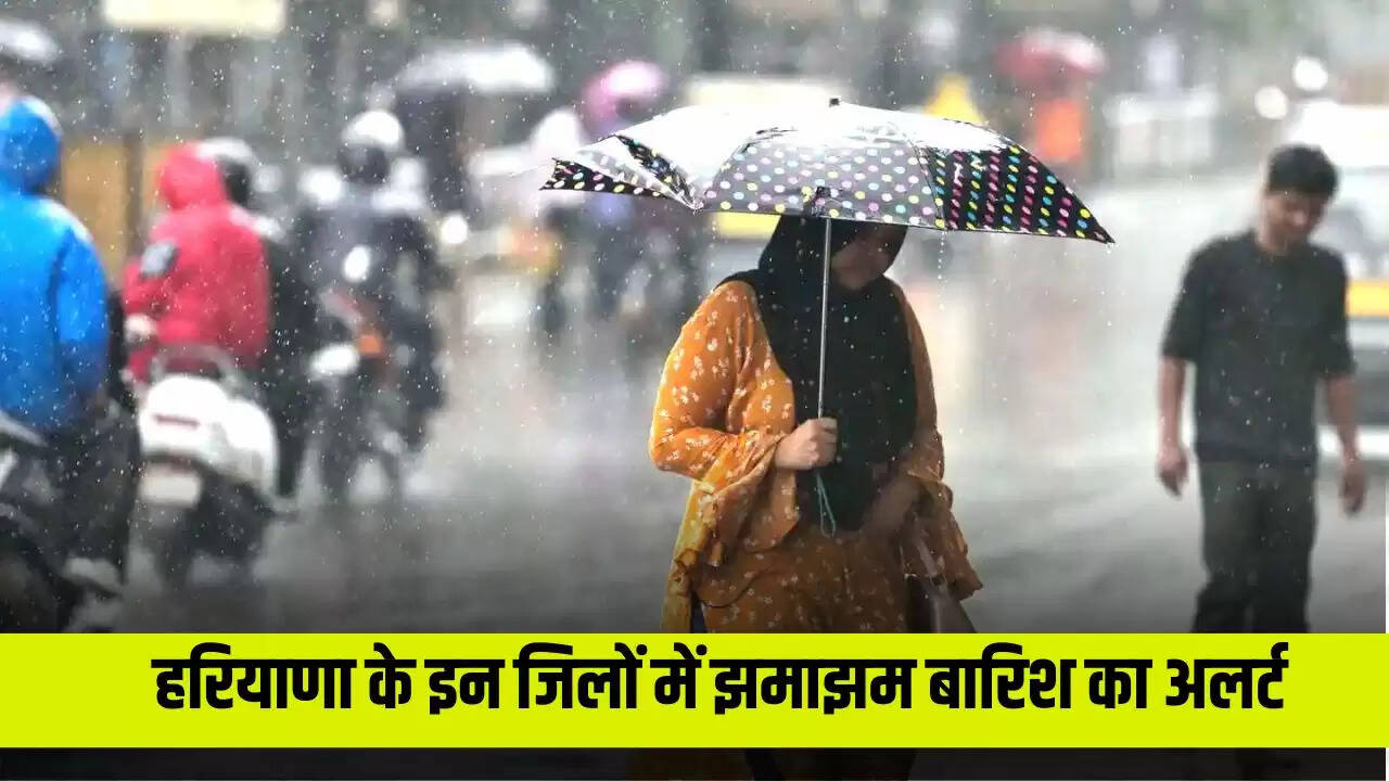 haryana weather update