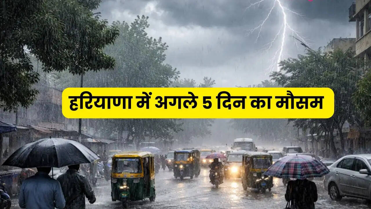 हरियाणा में सक्रिय हुआ पश्चिमी विक्षोभ, अब होगी झमाझम बरसात! देखें अगले 5 दिन का मौसम&nbsp;