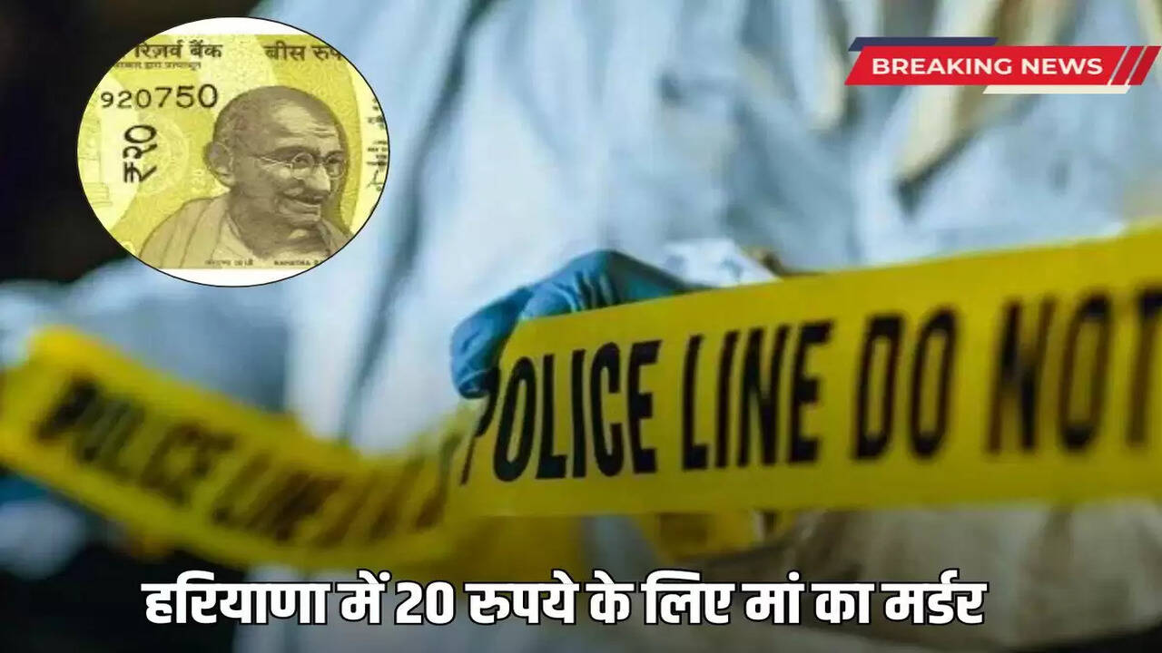 Mother murdered for Rs 20 in Haryana