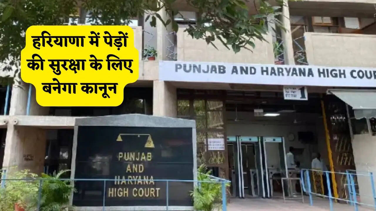 हरियाणा में पेड़ों की सुरक्षा के लिए बनेगा कानून, हाईकोर्ट में सरकार का बड़ा खुलासा