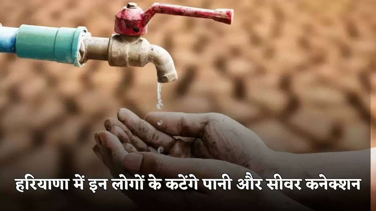 haryana news