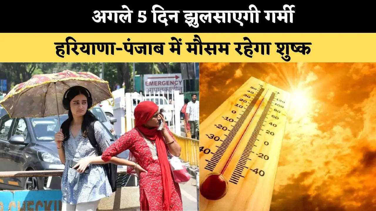 अगले 5 दिन झुलसाएगी गर्मी, हरियाणा-पंजाब में मौसम रहेगा शुष्क 