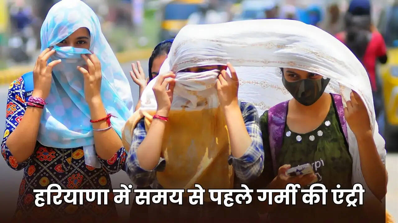 haryana weather udpate