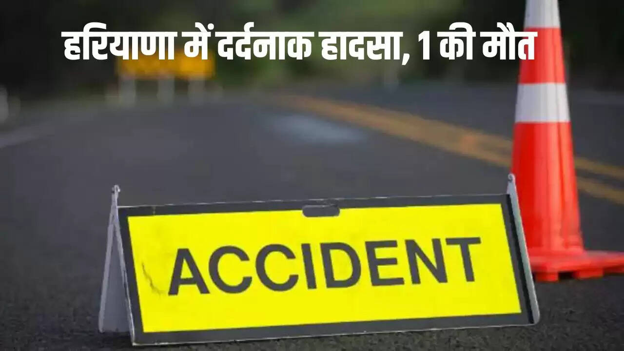 haryana news
