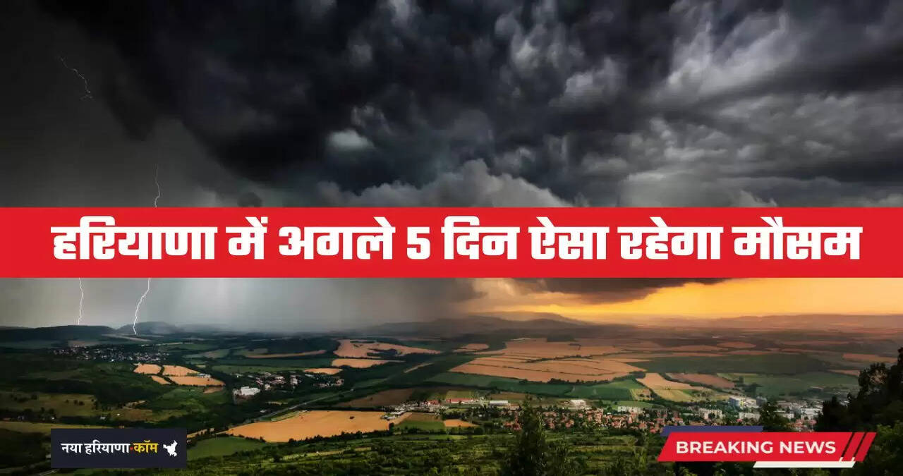 Haryana Weather: हरियाणा में अगले 5 दिन ऐसा रहेगा मौसम, देखें कहां-कहां होगी बरसात ?&nbsp;