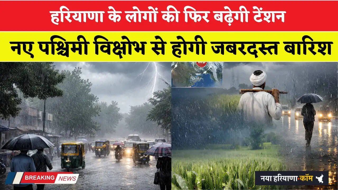 Haryana Weather: हरियाणा के लोगों की फिर बढ़ेगी टेंशन, नए पश्चिमी विक्षोभ से जबरदस्त बारिश के आसार