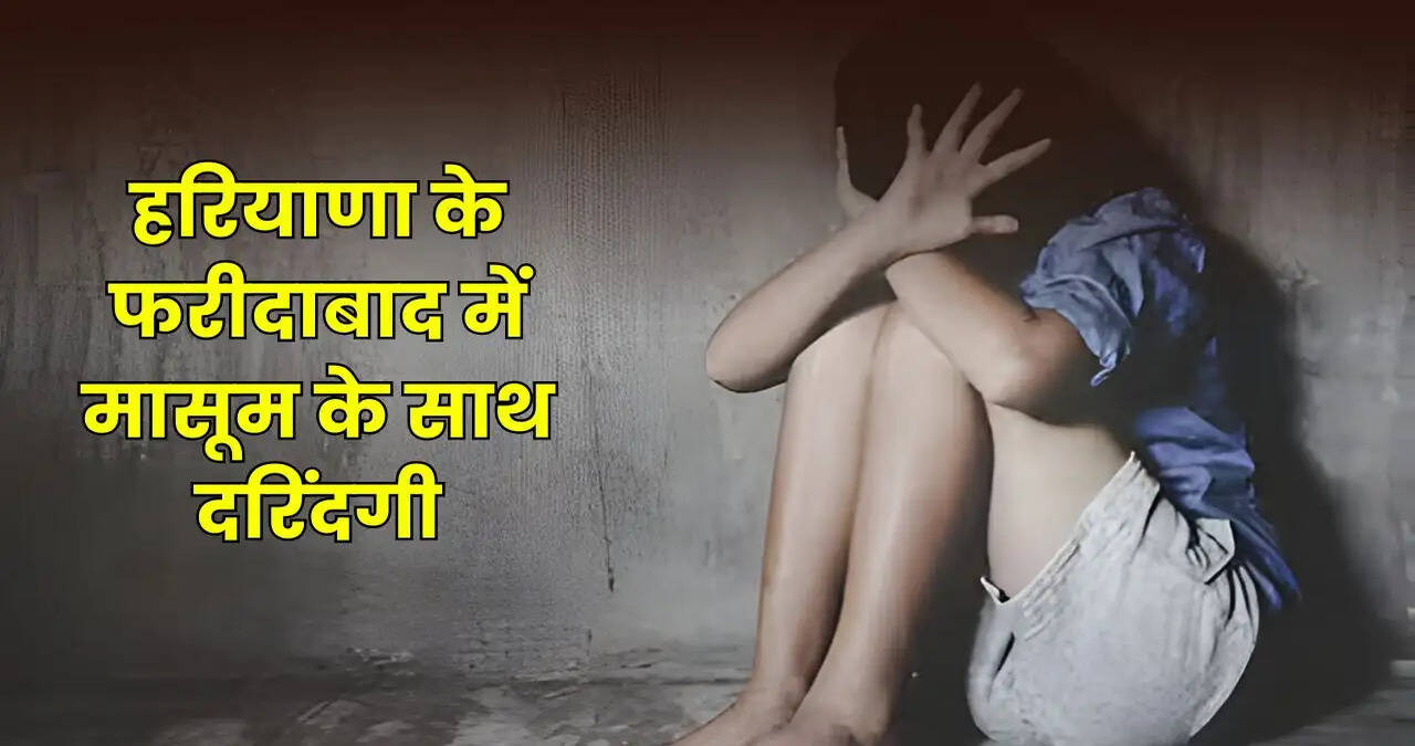 haryana news