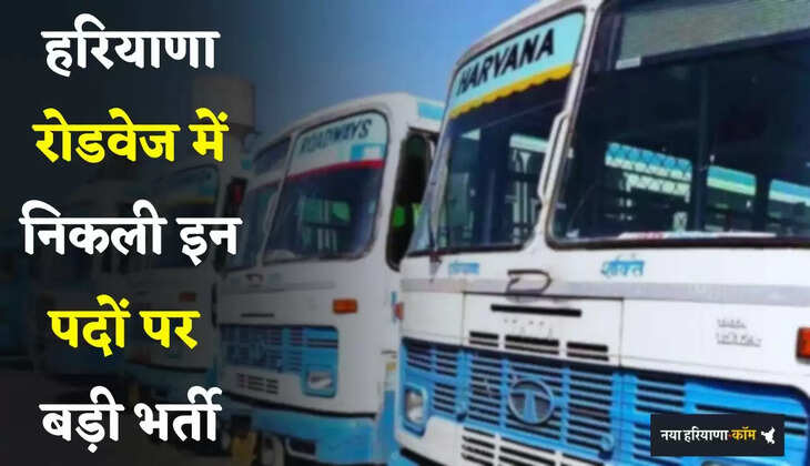 Haryana Jobs: हरियाणा रोडवेज में निकली इन पदों पर बड़ी भर्ती, जल्दी करें आवेदन