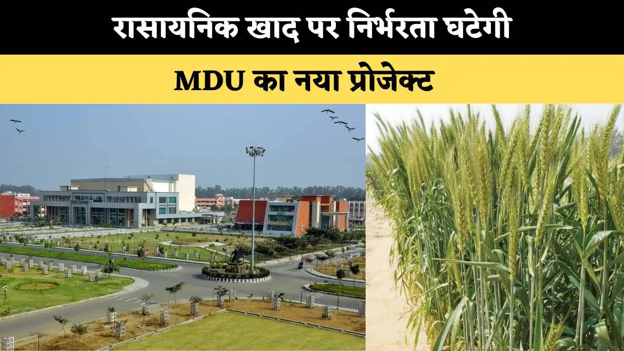 रासायनिक खाद पर निर्भरता घटेगी, MDU का नया प्रोजेक्ट 
