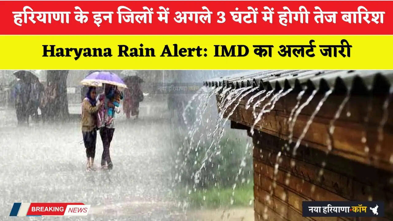 Haryana Rain Alert: हरियाणा के इन जिलों में अगले 3 घंटों में होगी तेज बारिश, IMD का अलर्ट जारी