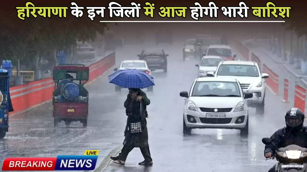 There will be heavy rain in these districts of Haryana today