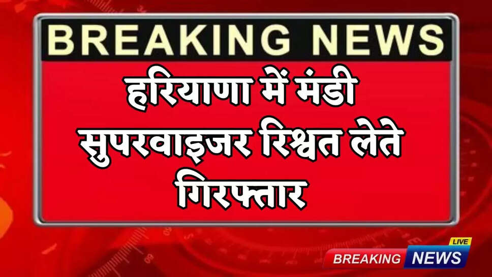 Mandi supervisor arrested taking bribe in Haryana