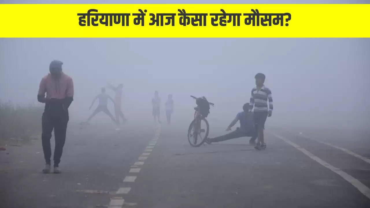 haryana weather update