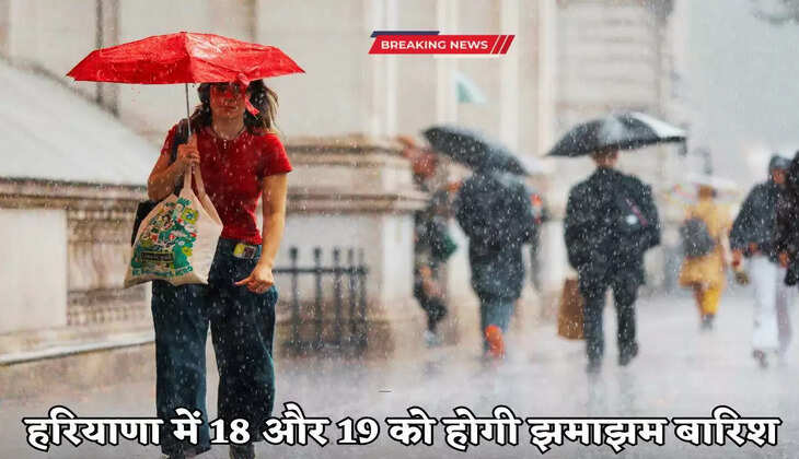 haryana weather update