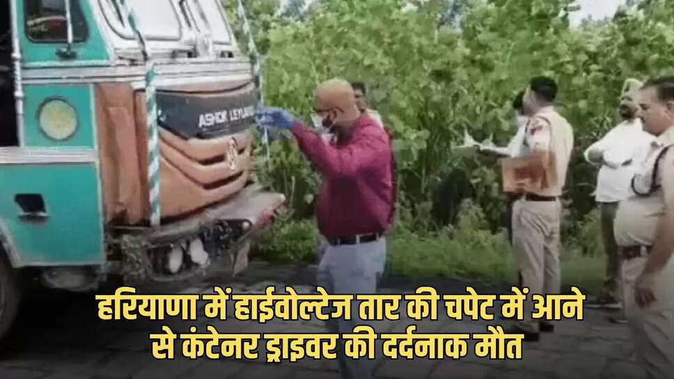 haryana news