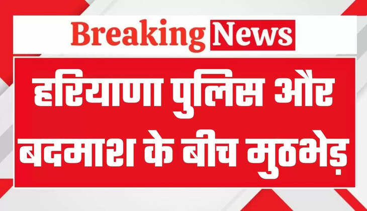 Haryana News: हरियाणा पुलिस और बदमाश के बीच मुठभेड़, CIA इंचार्ज और SI को लगी गोलियां,&nbsp;बदमाश गिरफ्तार