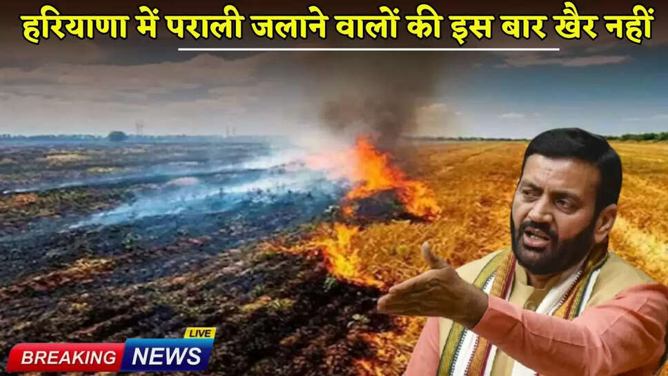 This time, those burning stubble in Haryana will be in trouble.