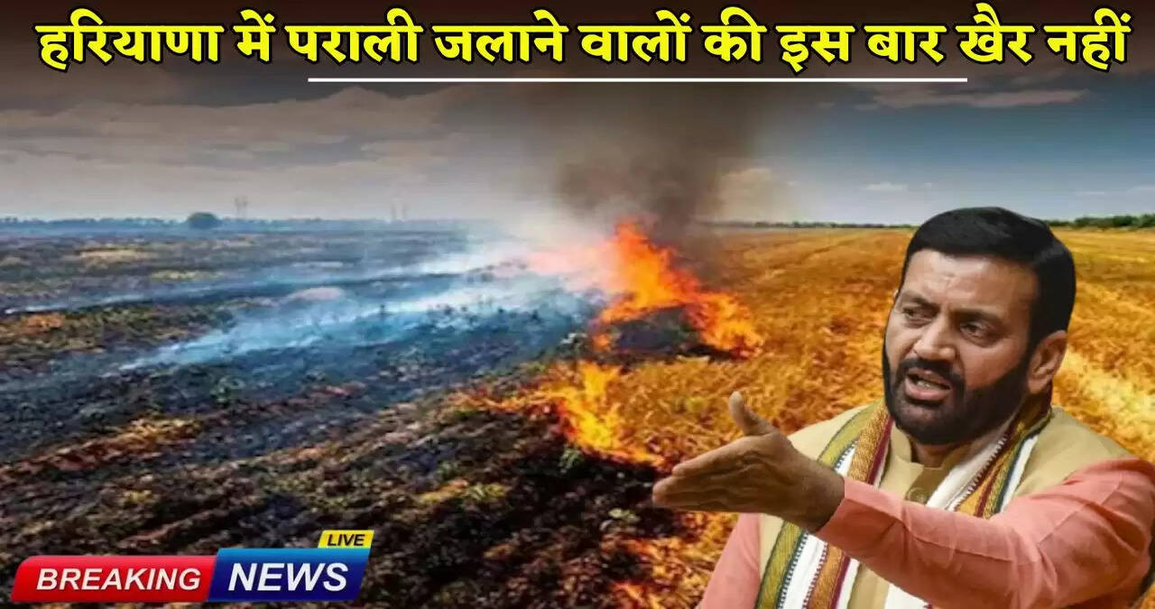 This time, those burning stubble in Haryana will be in trouble.