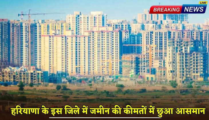 The price of land in this district of Haryana is skyrocketing