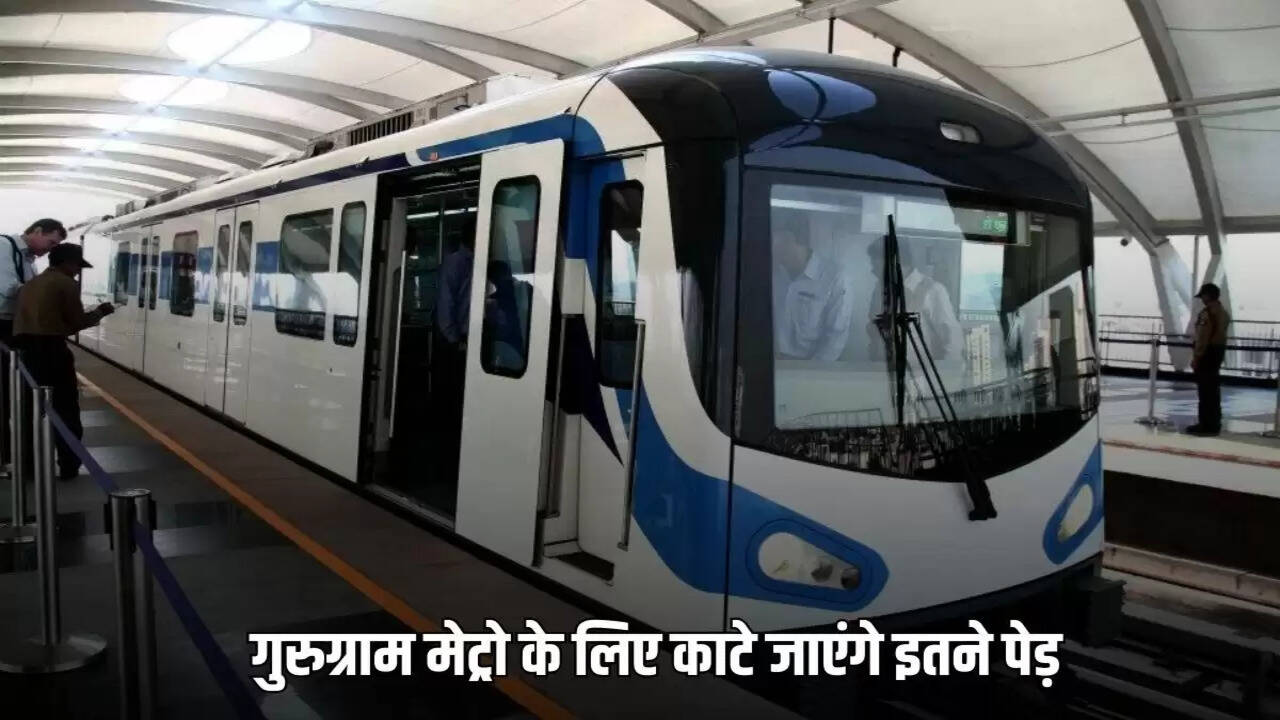 1,801 trees will be cut for Gurugram Metro Phase 1
