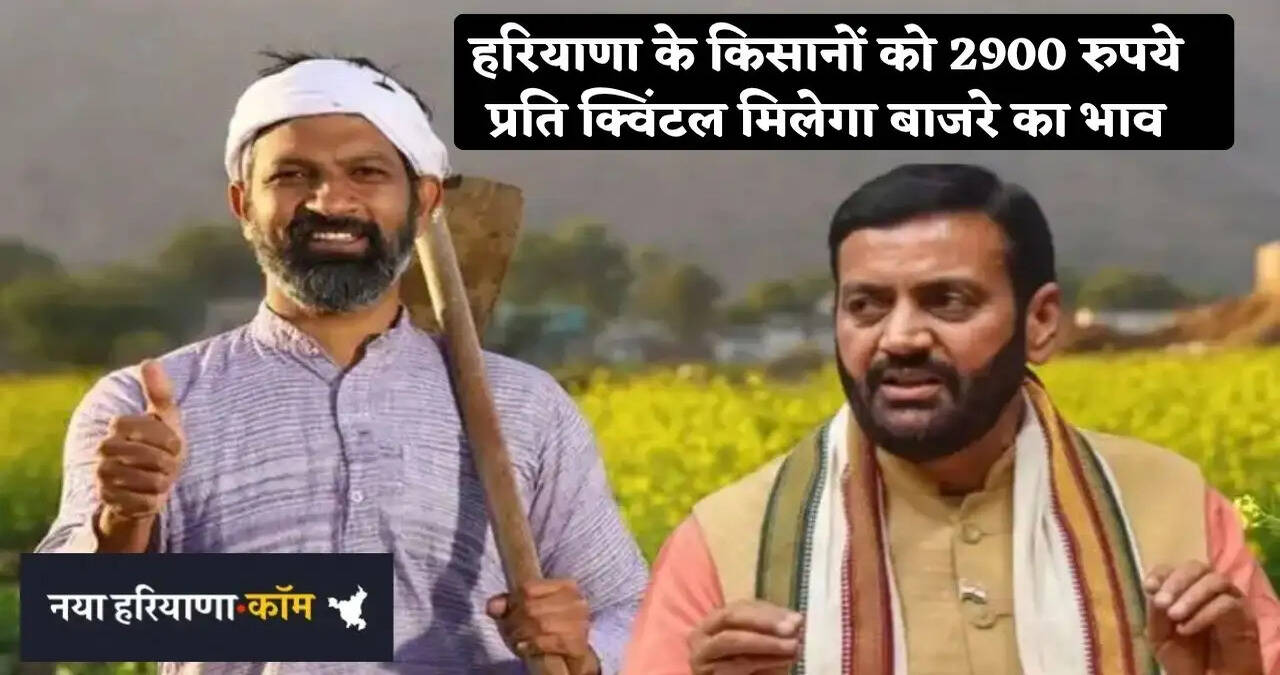 हरियाणा के किसानों को बाजरे का 2900 रुपये प्रति क्विंटल भाव मिलेगा, सीएम सैनी ने किया ऐलान