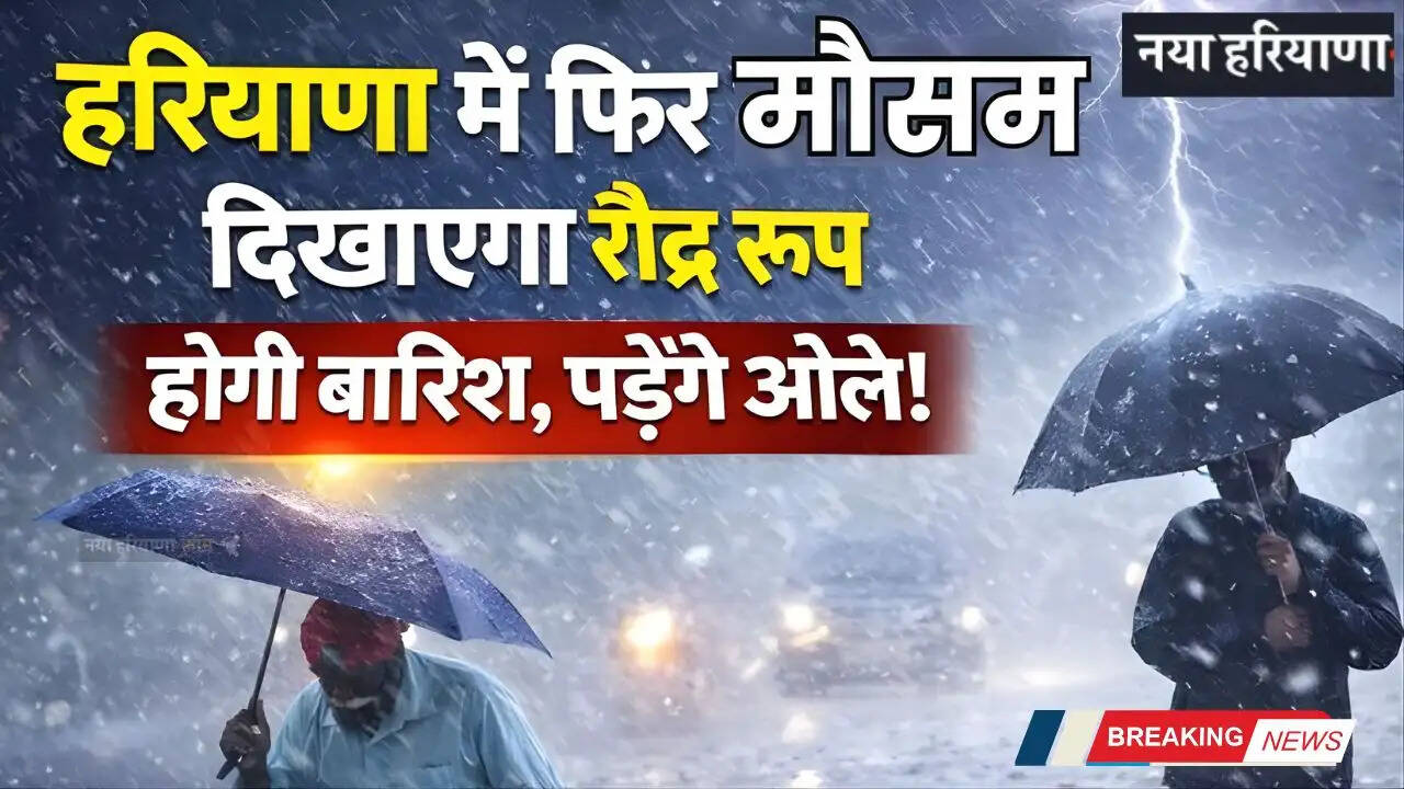 Haryana Weather: हरियाणा के 19 जिलों में बारिश-ओलावृष्टि का अलर्ट, देखें नई मौसम रिपोर्ट