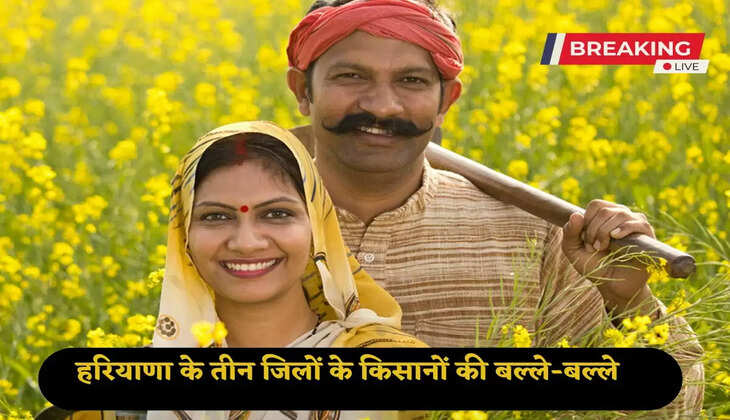 Farmers of 3 districts of Haryana will get Rs 85.5 crore