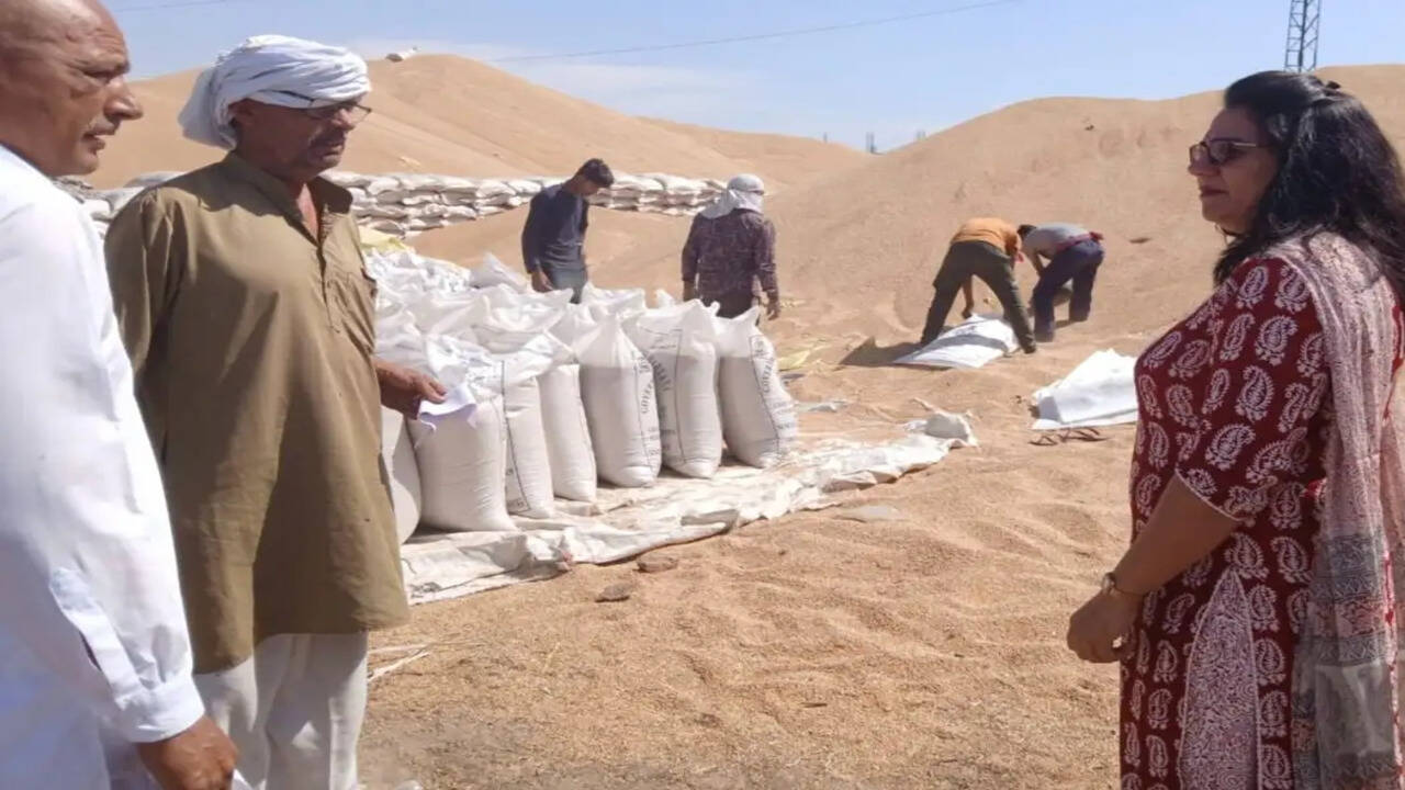 गेहूं खरीद के साथ-साथ उपज के भंडारण की समुचित व्यवस्था जरूरी : एसडीएम