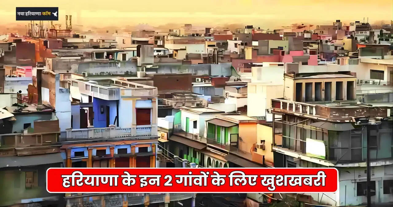 HARYANA NEWS