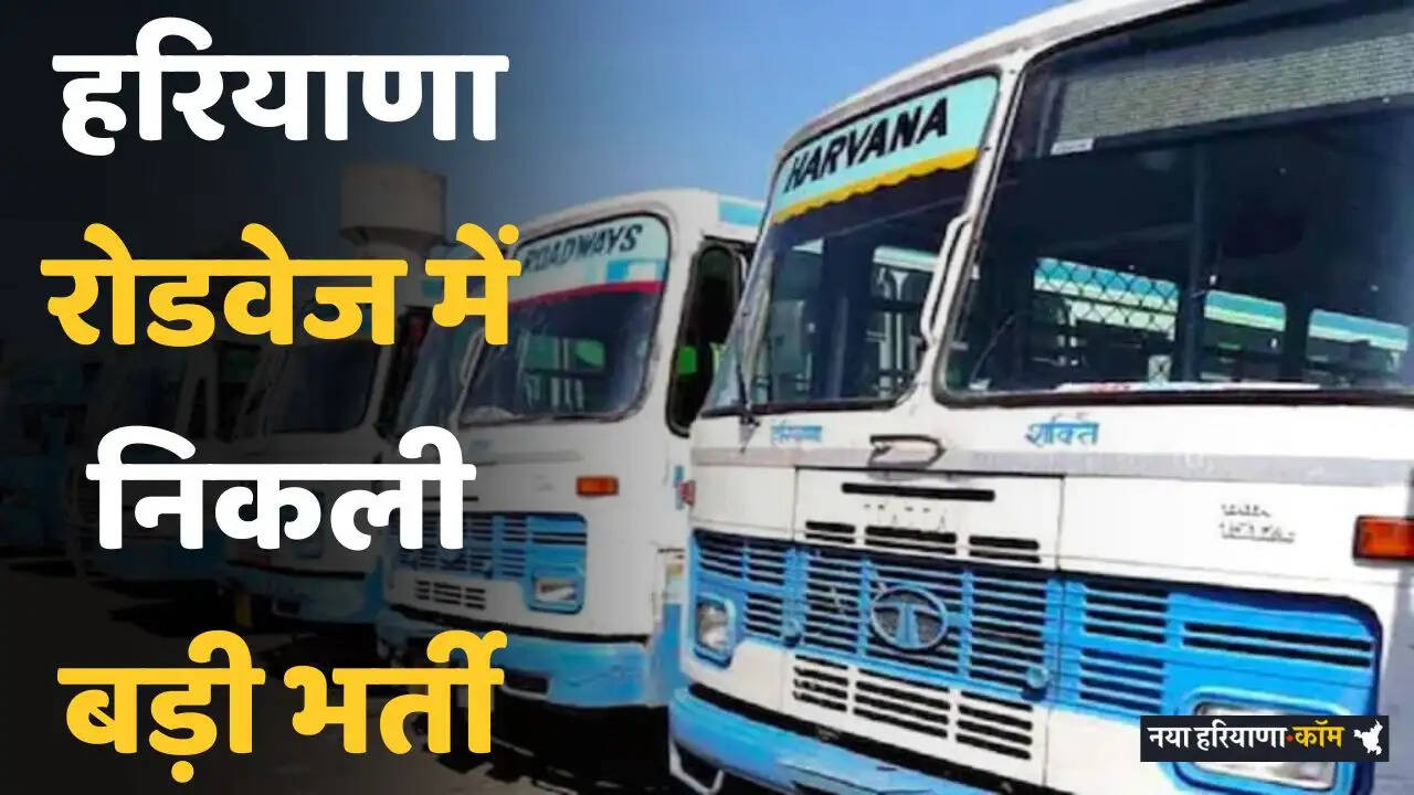 Haryana Roadways Jobs: हरियाणा रोडवेज में निकली इन पदों पर भर्ती, जल्दी करें आवेदन&nbsp;