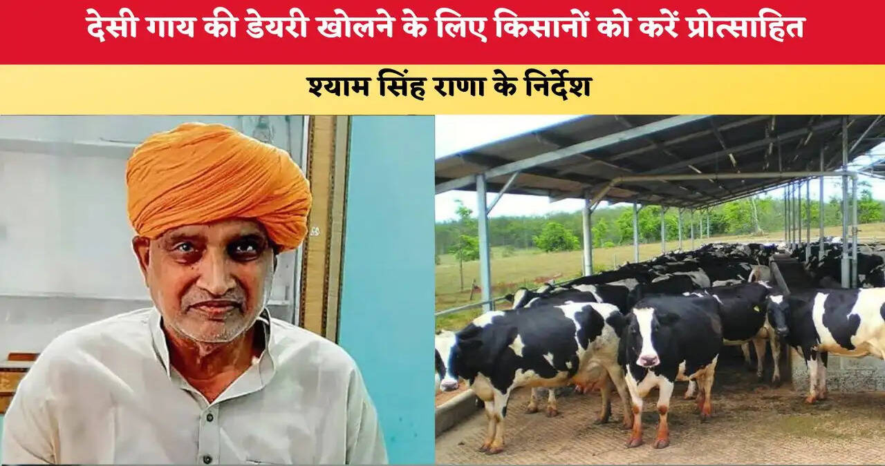 दुधारु पशुओं के लिए उन्नत चारे के बीज़ का प्रबंध करने की दिशा में कार्य करें अधिकारी : श्री श्याम सिंह राणा