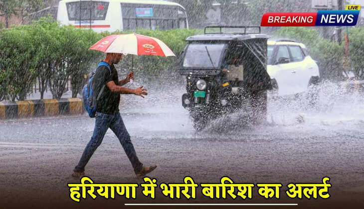 Heavy rain alert in Haryana