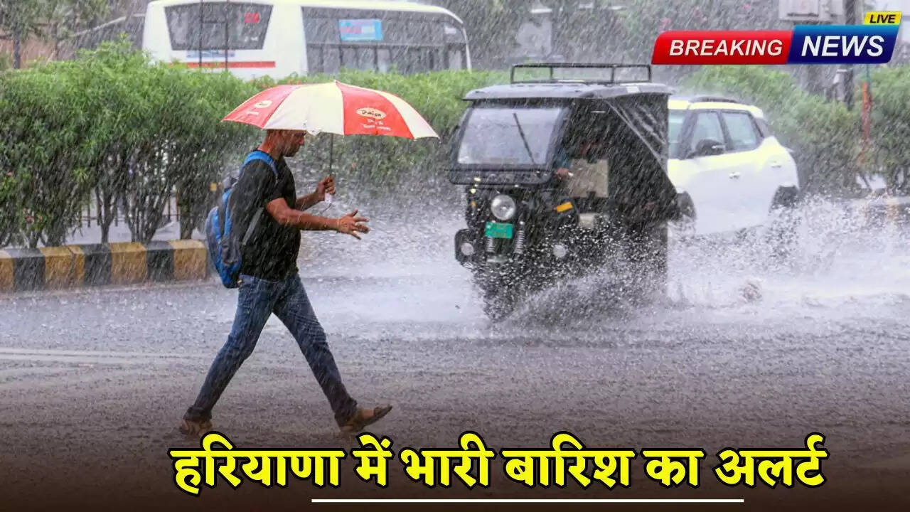 Heavy rain alert in Haryana