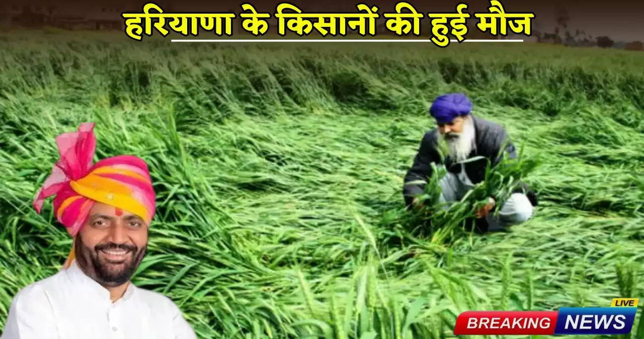 Farmers of Haryana had fun