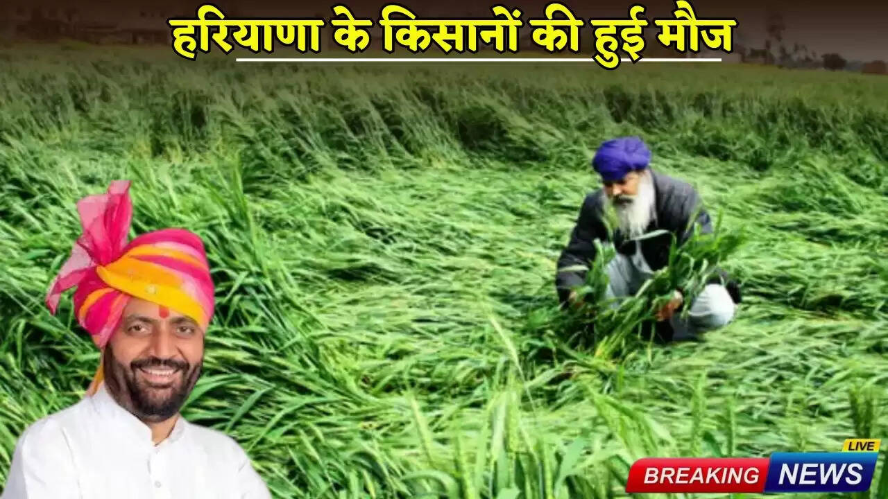 Farmers of Haryana had fun