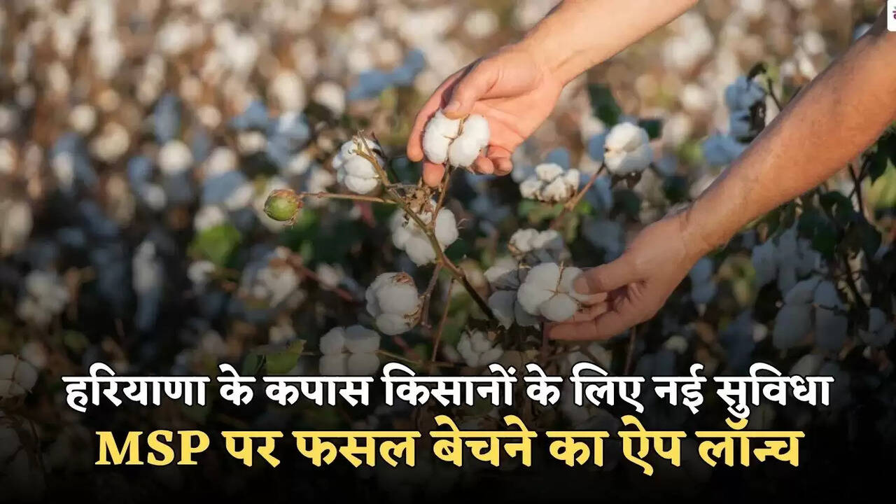 haryana news