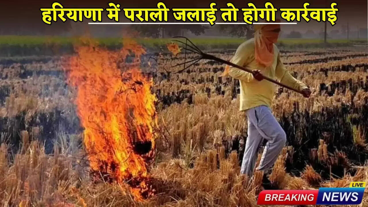 Action will be taken if stubble is burnt in Haryana
