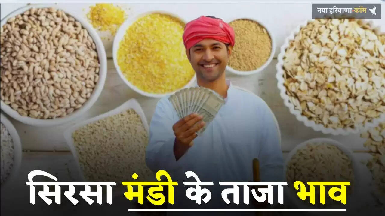 Mandi Bhav: हरियाणा की सिरसा मंडी में इस रेट पर बिकी फसलें, देखें आज के ताजा भाव