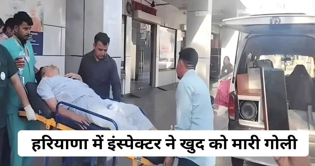 Haryana News 