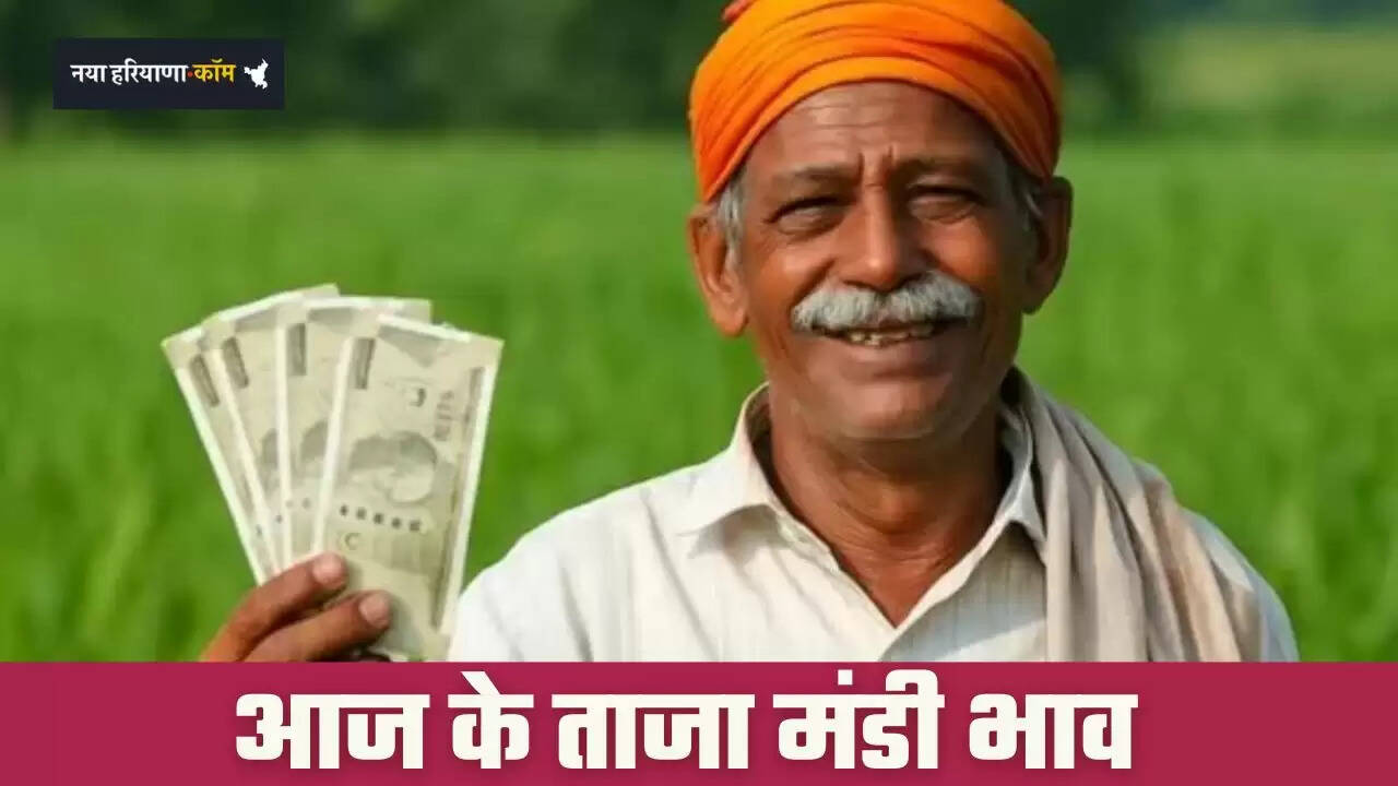 Mandi Bhav: हरियाणा की सिरसा मंडी में इस रेट पर बिकी फसलें, देखें ताजा भाव&nbsp;