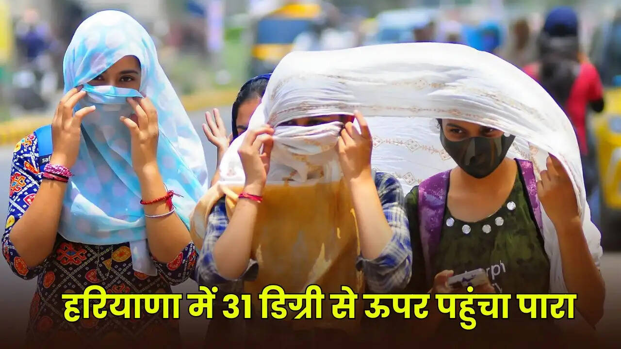 haryana weather udpate