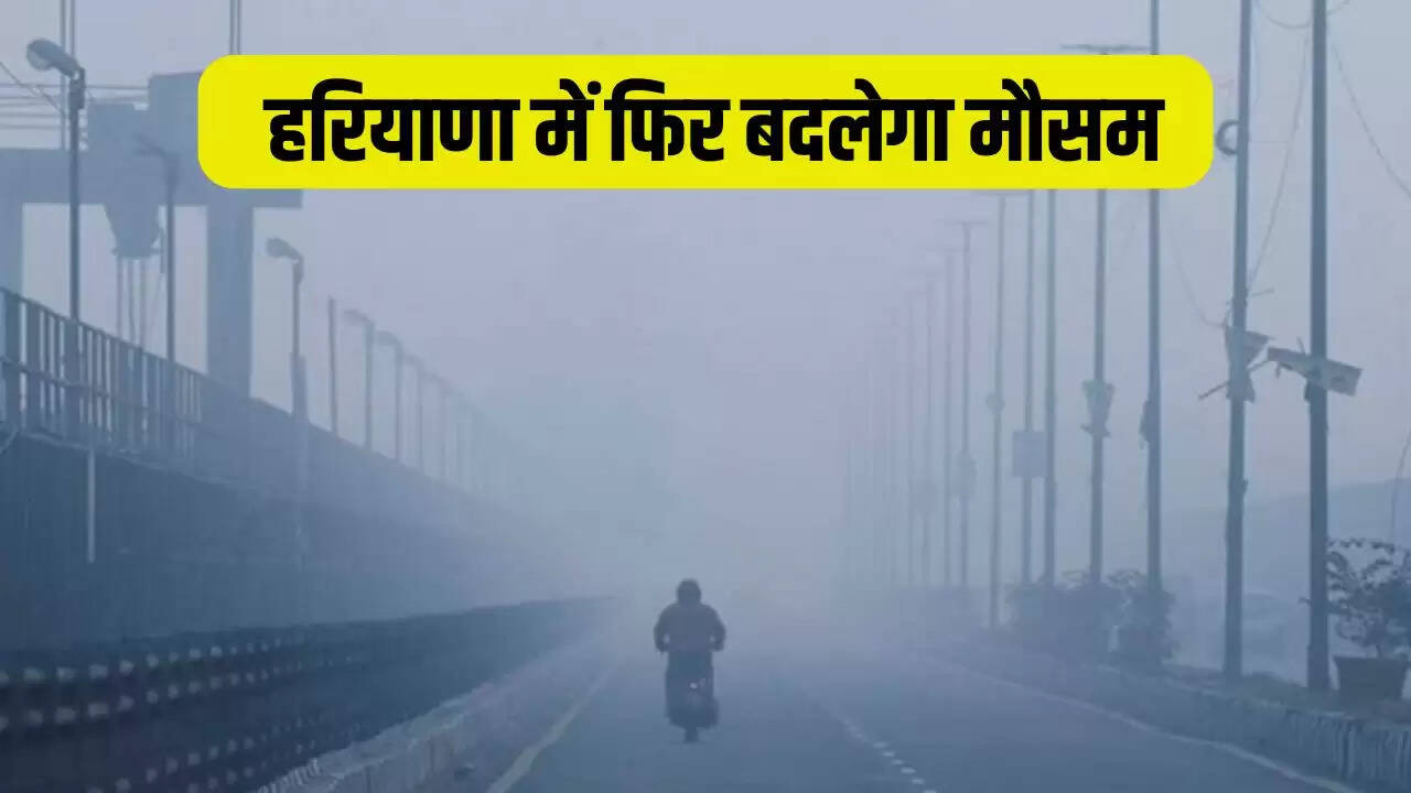 haryana weather update