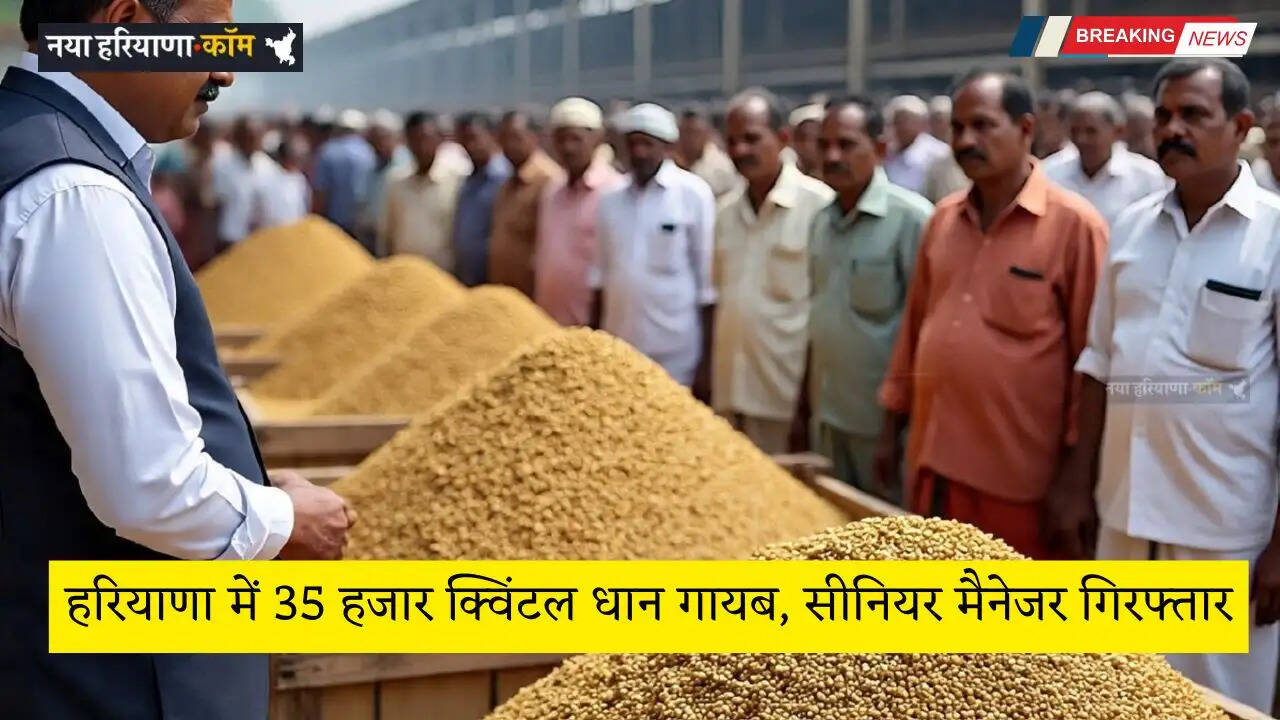 Haryana: हरियाणा में 70 करोड़ के फर्जीवाड़े में बड़ा एक्शन, 35 हजार क्विंटल धान गायब, सीनियर मैनेजर गिरफ्तार&nbsp;
